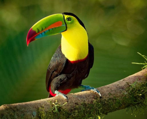 Plan a Bahía Solano desde Medellín con viajes de Pueblo en Pueblo