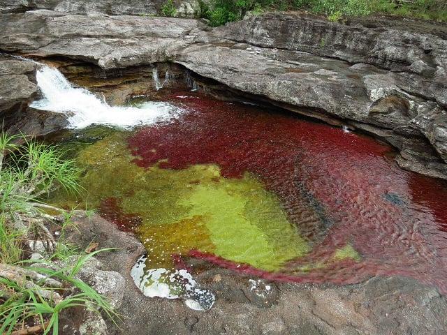 Plan a Caño Cristales desde Medellín con viajes de Pueblo en Pueblo