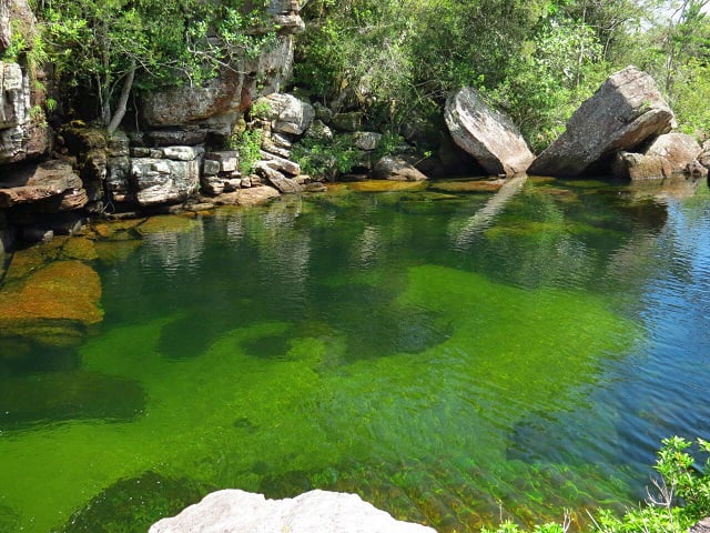 Plan a Caño Cristales desde Medellín con viajes de Pueblo en Pueblo