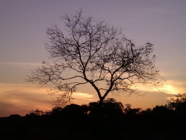 Plan a Caño Cristales desde Medellín con viajes de Pueblo en Pueblo