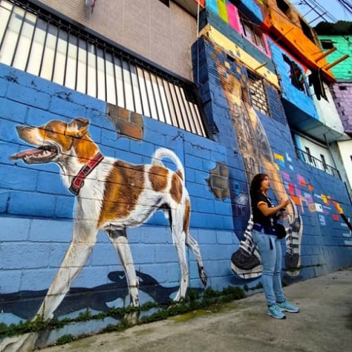 Tour Constelaciones Medellin con viajes de Pueblo en Pueblo