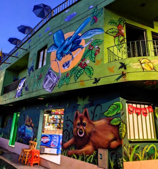 Constelaciones Medellin