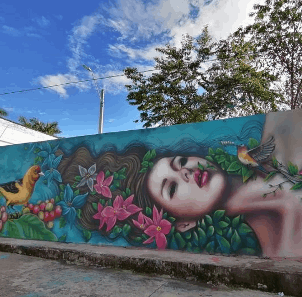 Tour pesebre de Venecia