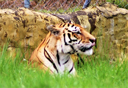 Tour Parque tematico hacienda Nápoles