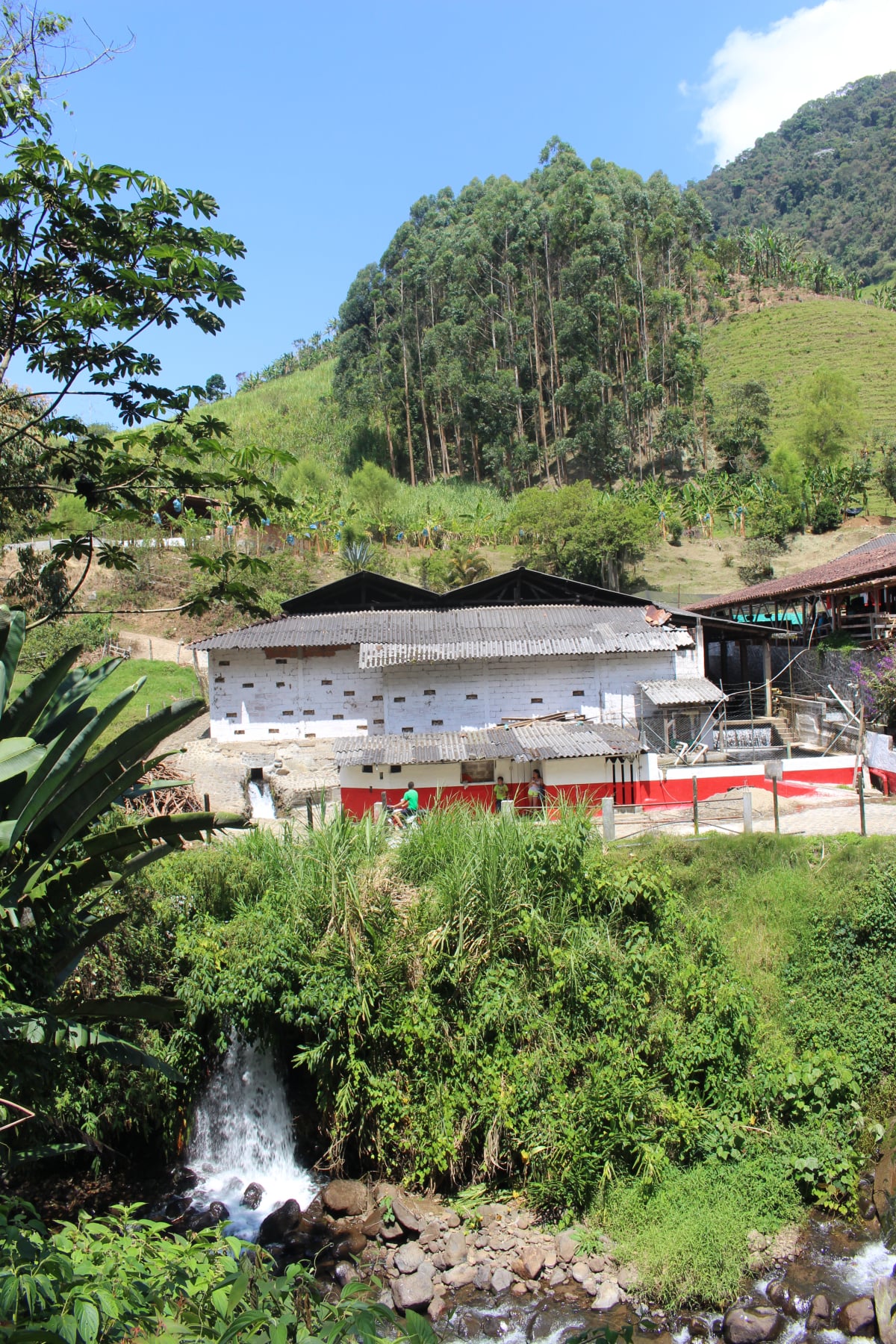 Truchera La Argelia jardín