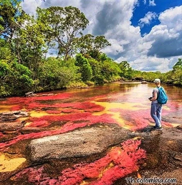 Plan a Caño Cristales desde Medellín con viajes de Pueblo en Pueblo