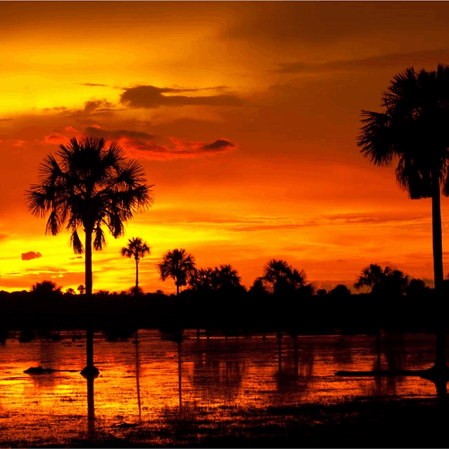 Excursion Llanos Orientales