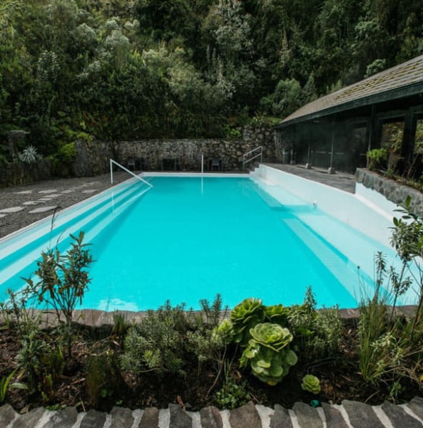 Entre frailejones, Paisajes y Colibríes