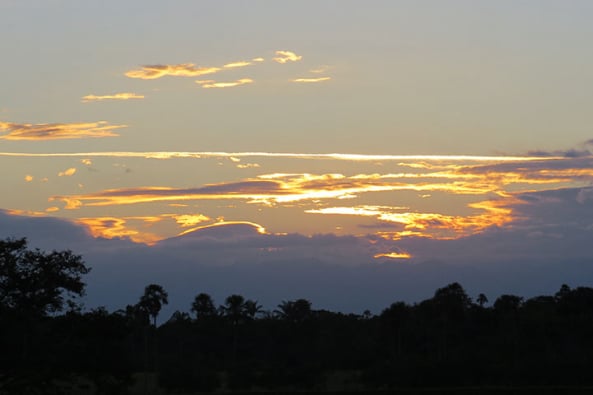 Excursion Terrestre a Los Llanos Orientales desde Medellín  con Viajes de Pueblo en Pueblo