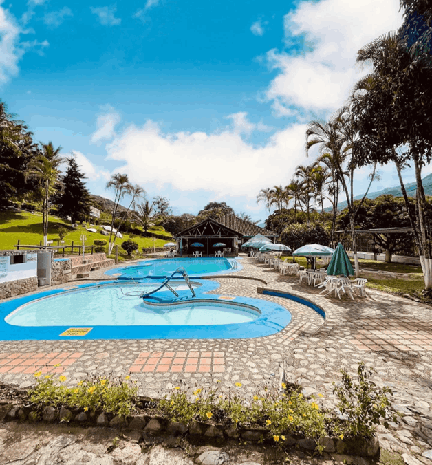 Tour a Cisneros