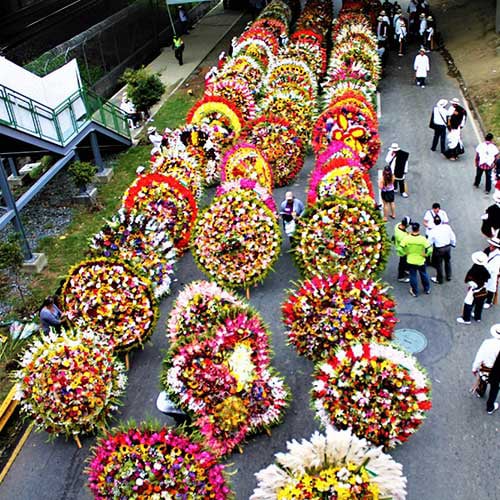 palco desfile de flores