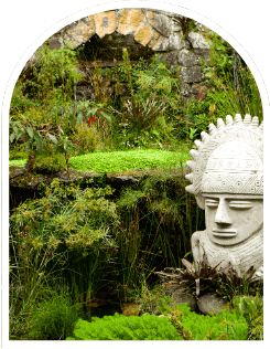 Excursion Neiva y San agustin terrestre con viajes de pueblo en pueblo